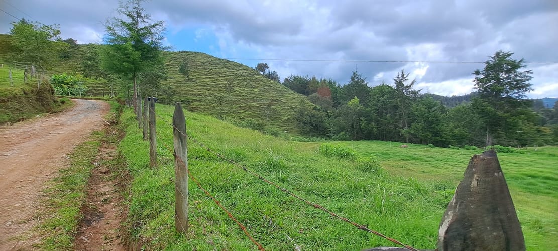 Lote en venta en Pantanillo, El Retiro, 5000 m² · foto 12 de 14