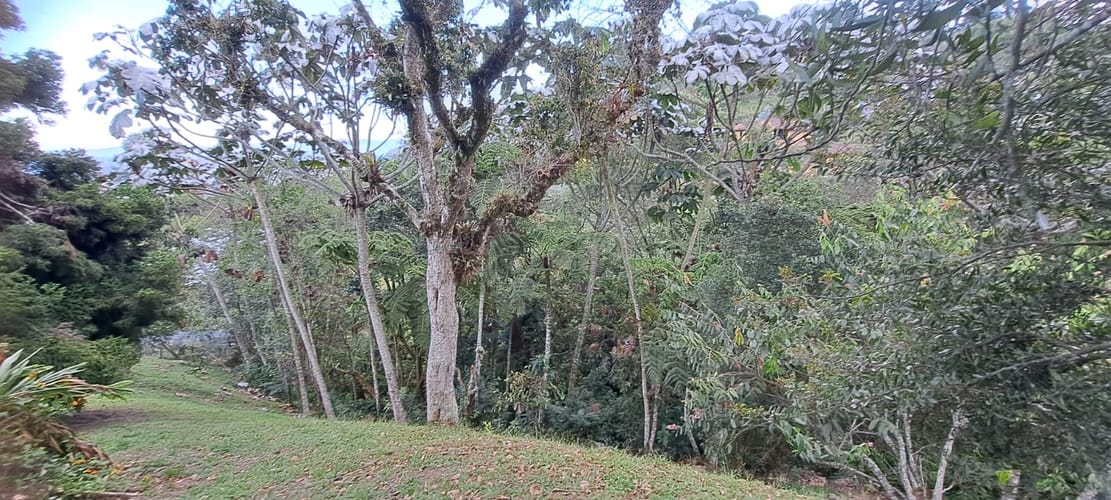 Casa de 4 alcobas en venta en Playa Rica-Rancheria, Rionegro · foto 18 de 22