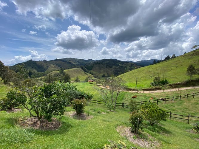 Lote en venta en Pantanillo, El Retiro, 5000 m² · foto 13 de 14