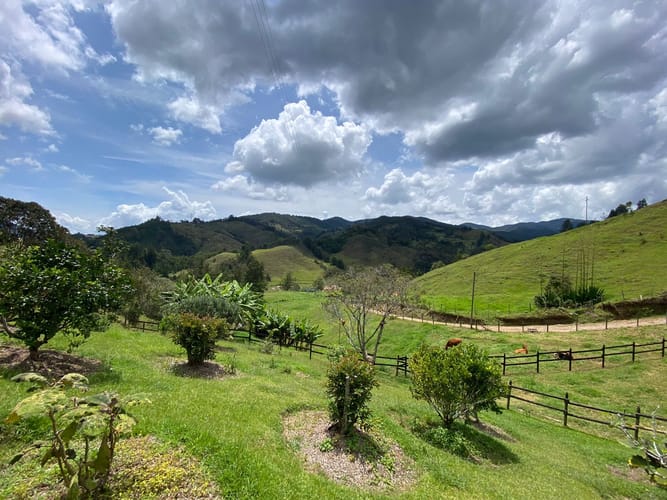 Lote en venta en Pantanillo, El Retiro, 5000 m² · foto 14 de 14