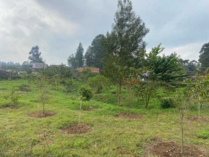 Lote en venta en El Porvenir, Rionegro, 275 m² · foto 10 de 24