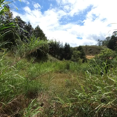 Finca en venta en Playa Rica-Rancheria, Rionegro, 38400 m² · foto 13 de 24