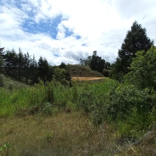Finca en venta en Playa Rica-Rancheria, Rionegro, 38400 m² · foto 19 de 24