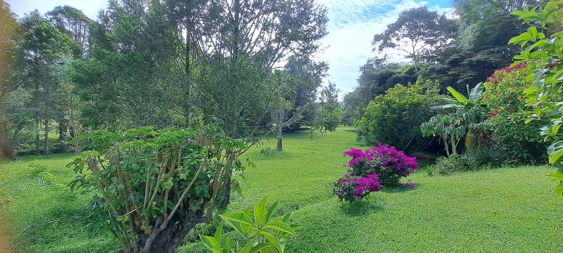Finca en venta en El Tablazo, Rionegro, 30464 m² · foto 13 de 24