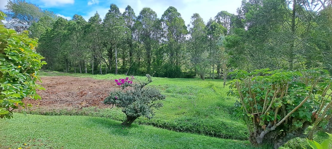 Finca en venta en El Tablazo, Rionegro, 30464 m² · foto 14 de 24