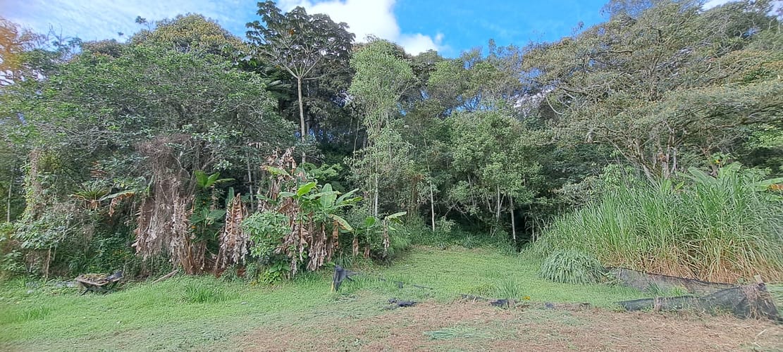 Finca en venta en El Tablazo, Rionegro, 30464 m² · foto 21 de 24