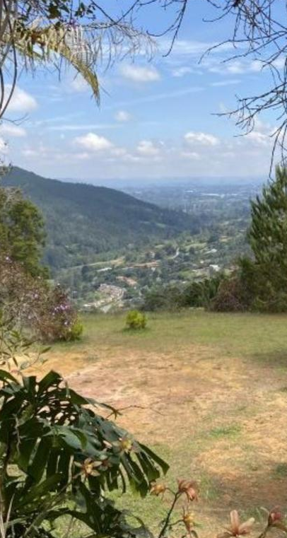 Lote en venta en Don Diego, El Retiro, 7792 m² · foto 5 de 9