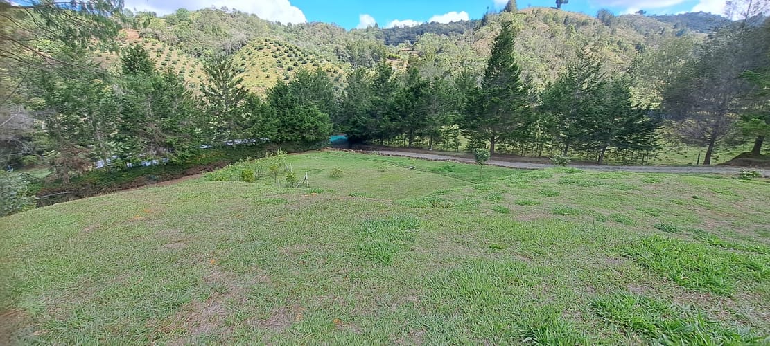 Lote en venta en Don Diego, El Retiro, 7792 m² · foto 7 de 9