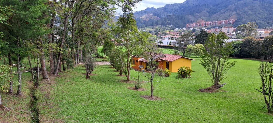Lote en venta en El Carmen, El Retiro, 14190 m² · foto 7 de 12