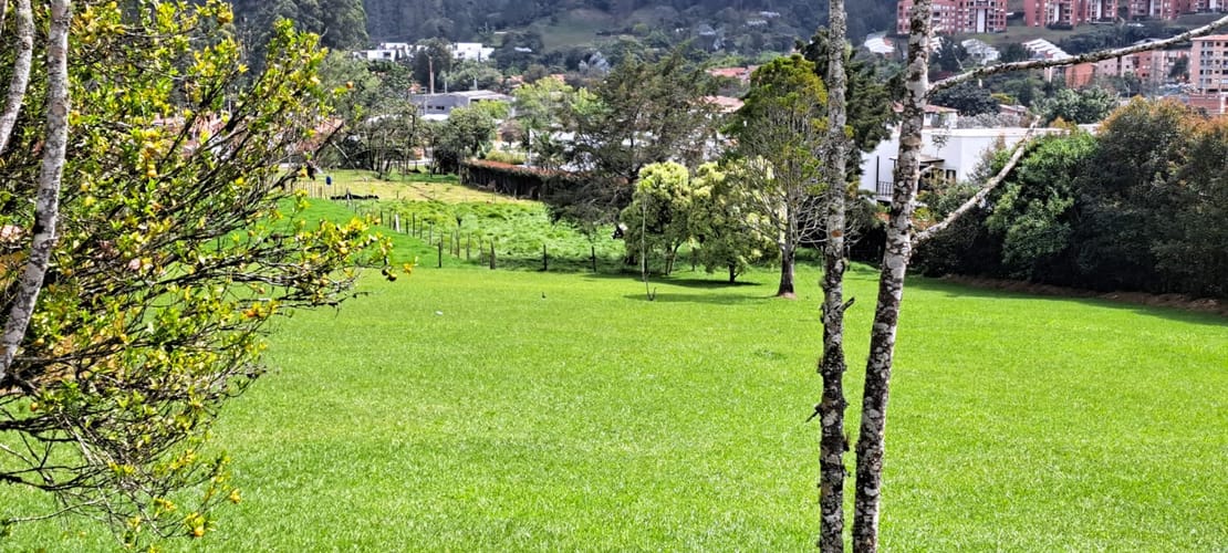 Lote en venta en El Carmen, El Retiro, 14190 m² · foto 12 de 12