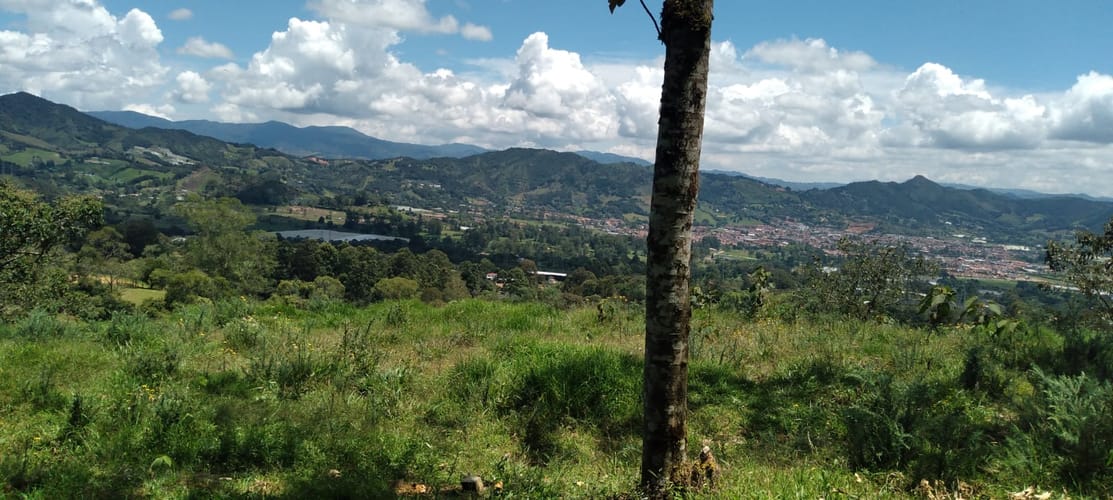Lote en venta en Lomitas, La Ceja, 10000 m² · foto 2 de 15