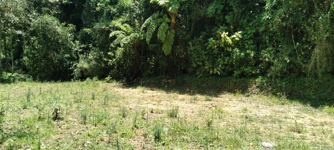 Lote en venta en Lomitas, La Ceja, 10000 m² · foto 3 de 15