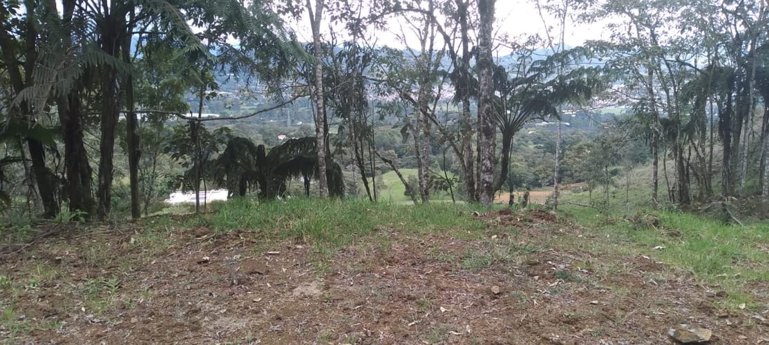 Lote en venta en Lomitas, La Ceja, 10000 m² · foto 7 de 15