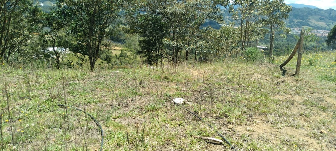 Lote en venta en Lomitas, La Ceja, 10000 m² · foto 13 de 15