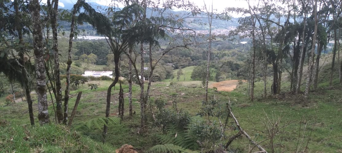 Lote en venta en Lomitas, La Ceja, 10000 m² · foto 15 de 15