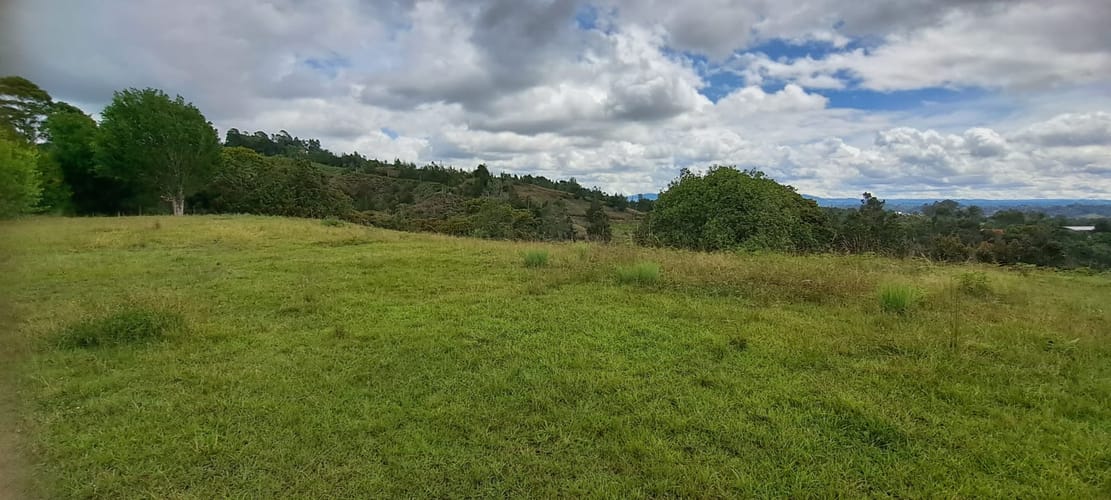 Lote en venta en Sajonia, Rionegro, 11000 m² · foto 2 de 24