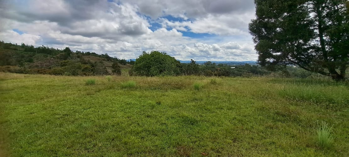 Lote en venta en Sajonia, Rionegro, 11000 m² · foto 3 de 24