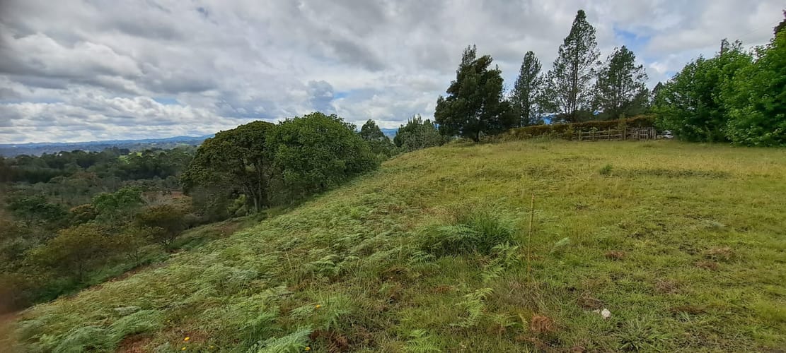Lote en venta en Sajonia, Rionegro, 11000 m² · foto 4 de 24