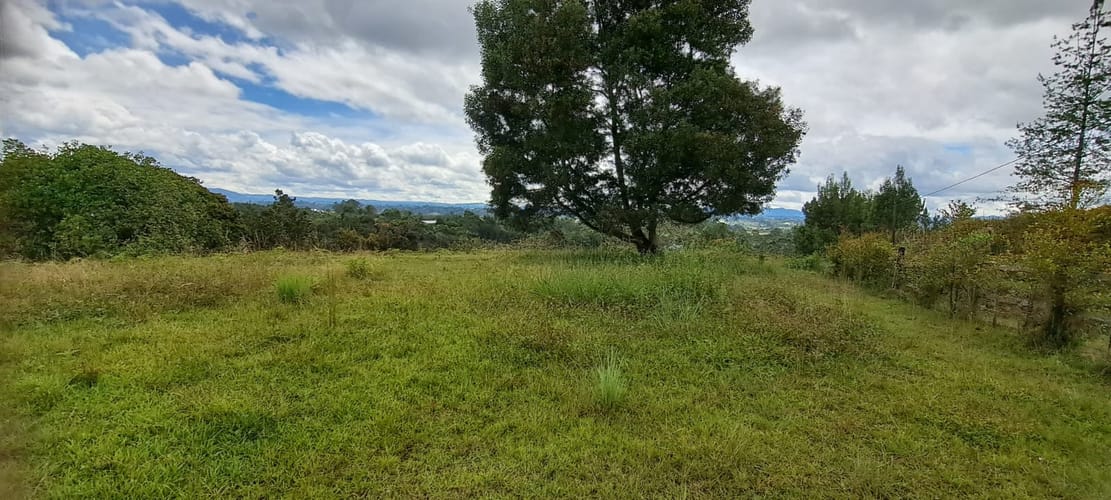 Lote en venta en Sajonia, Rionegro, 11000 m² · foto 5 de 24