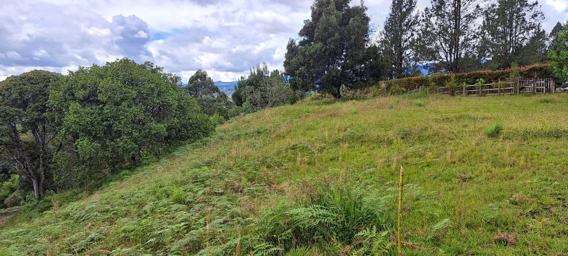 Lote en venta en Sajonia, Rionegro, 11000 m² · foto 6 de 24