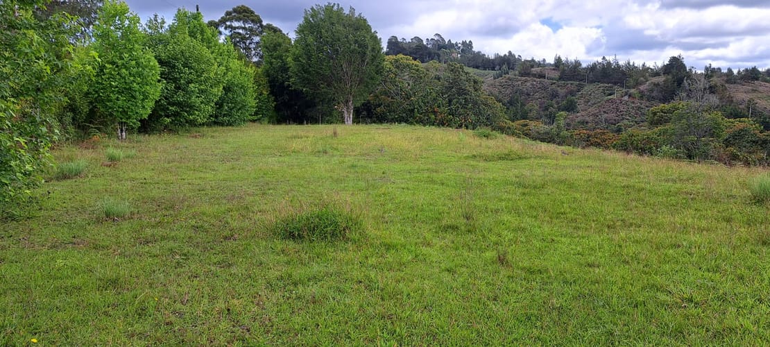 Lote en venta en Sajonia, Rionegro, 11000 m² · foto 7 de 24