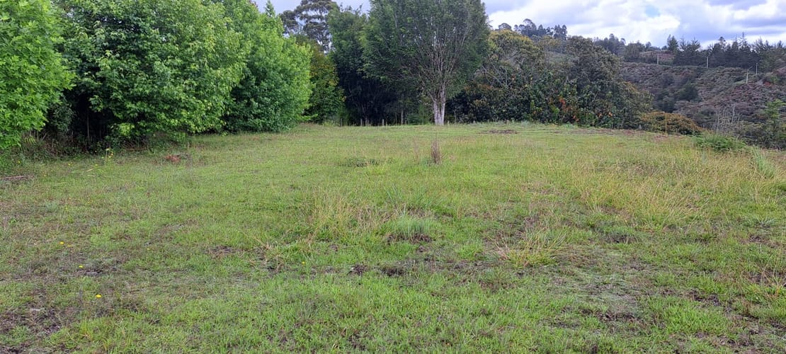 Lote en venta en Sajonia, Rionegro, 11000 m² · foto 8 de 24