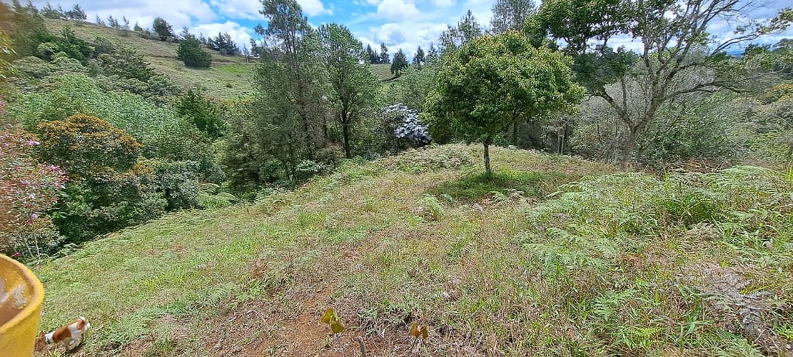 Lote en venta en Sajonia, Rionegro, 11000 m² · foto 13 de 24