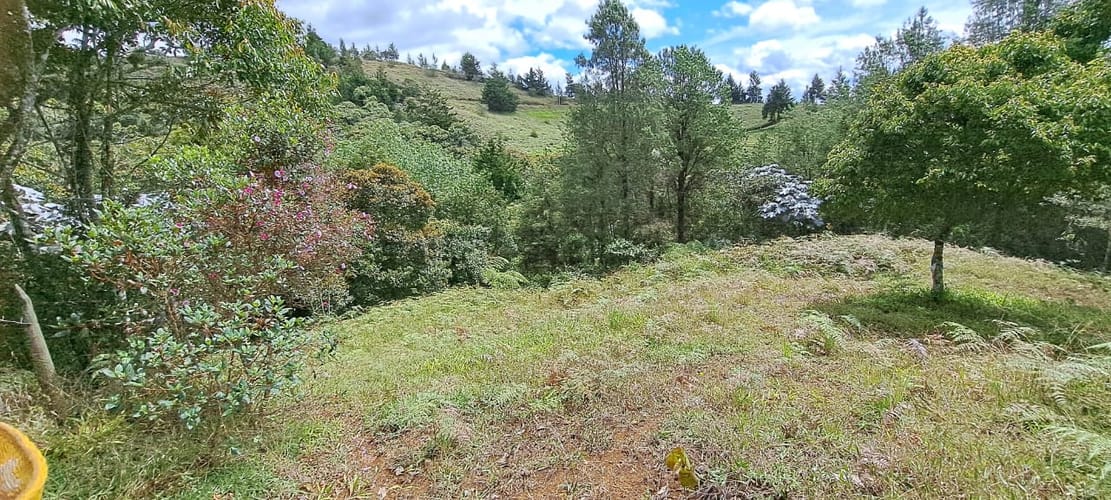 Lote en venta en Sajonia, Rionegro, 11000 m² · foto 14 de 24