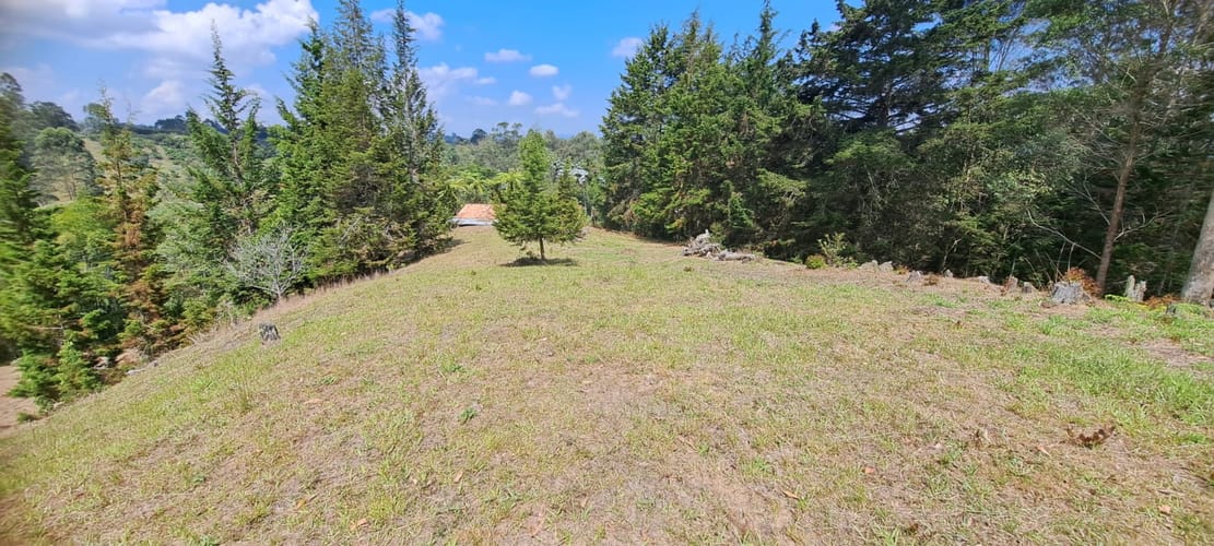 Lote en venta en Sajonia, Rionegro, 11000 m² · foto 15 de 24