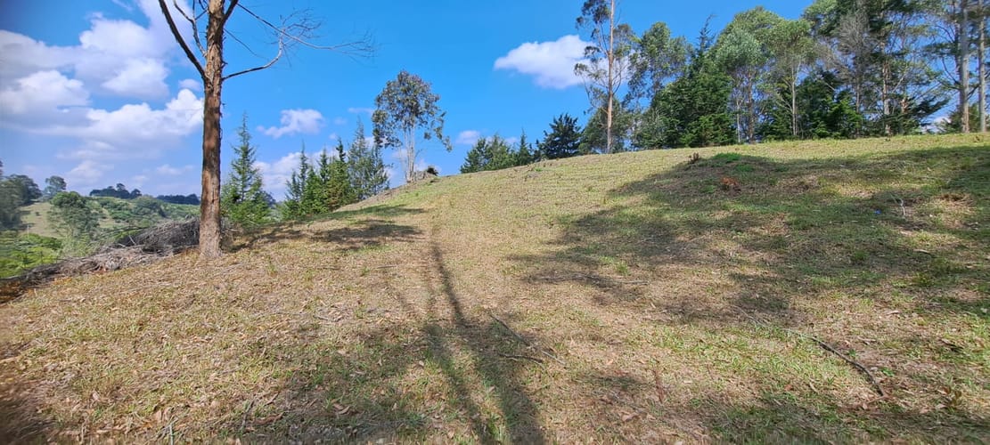 Lote en venta en Sajonia, Rionegro, 11000 m² · foto 16 de 24