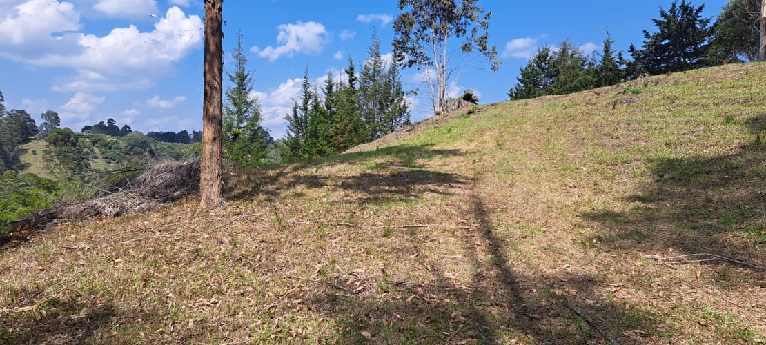 Lote en venta en Sajonia, Rionegro, 11000 m² · foto 17 de 24