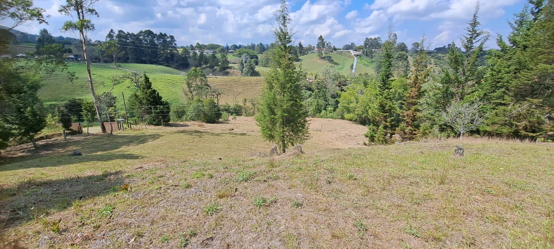 Lote en venta en Sajonia, Rionegro, 11000 m² · foto 18 de 24