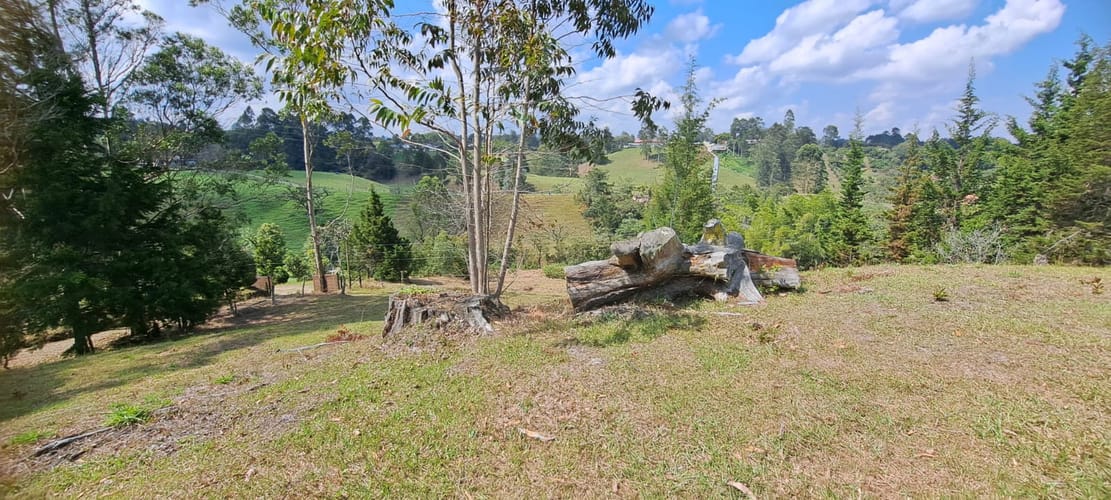 Lote en venta en Sajonia, Rionegro, 11000 m² · foto 19 de 24