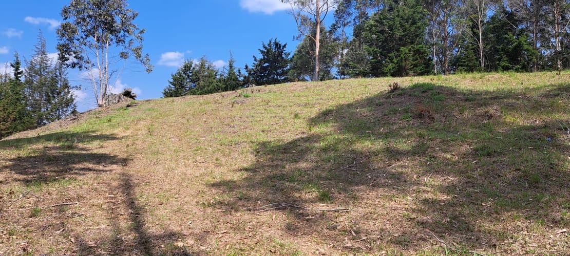 Lote en venta en Sajonia, Rionegro, 11000 m² · foto 20 de 24
