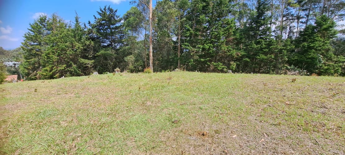 Lote en venta en Sajonia, Rionegro, 11000 m² · foto 24 de 24