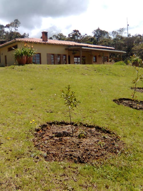 Finca en venta en Pantanillo, Envigado, 6400 m² · foto 11 de 24