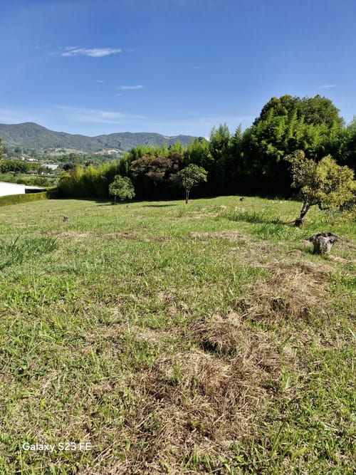 Lote en venta en Guamito, La Ceja, 3337 m² · foto 15 de 18