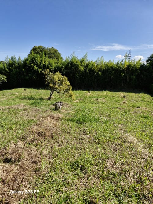 Lote en venta en Guamito, La Ceja, 3337 m² · foto 17 de 18