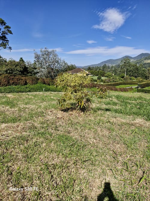 Lote en venta en Guamito, La Ceja, 3337 m² · foto 18 de 18