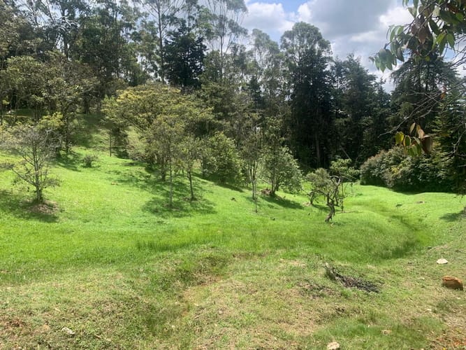 Finca en venta en Sajonia, Rionegro, 9260 m² · foto 8 de 20