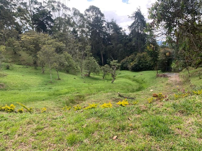Finca en venta en Sajonia, Rionegro, 9260 m² · foto 9 de 20