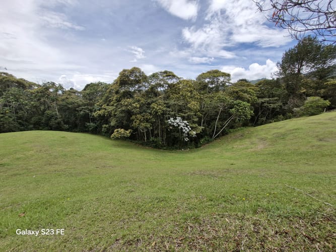 Lote en venta en Los Salados, El Retiro, 11000 m² · foto 2 de 14