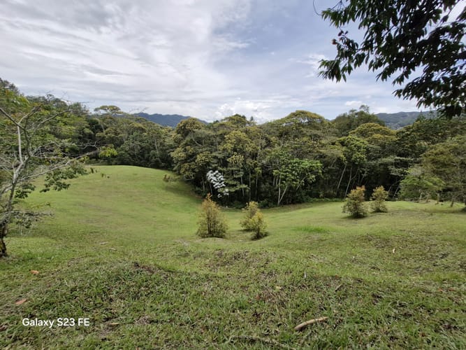 Lote en venta en Los Salados, El Retiro, 11000 m² · foto 3 de 14