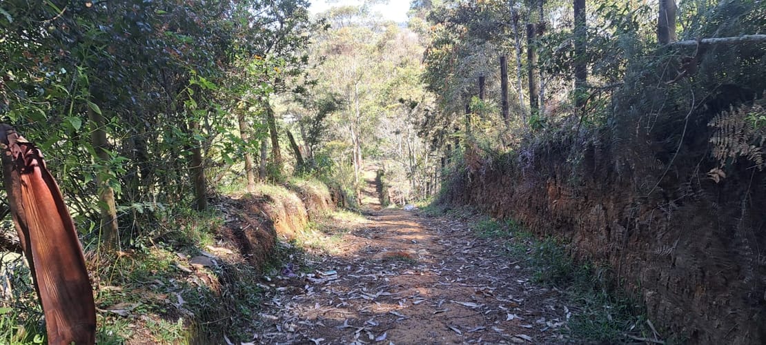 Lote en venta en Cabeceras De Llanogrande, Rionegro, 12900 m² · foto 4 de 17
