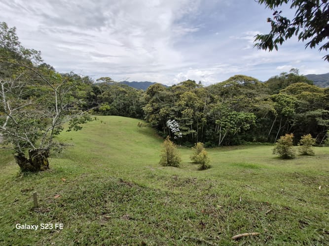 Lote en venta en Los Salados, El Retiro, 11000 m² · foto 4 de 14