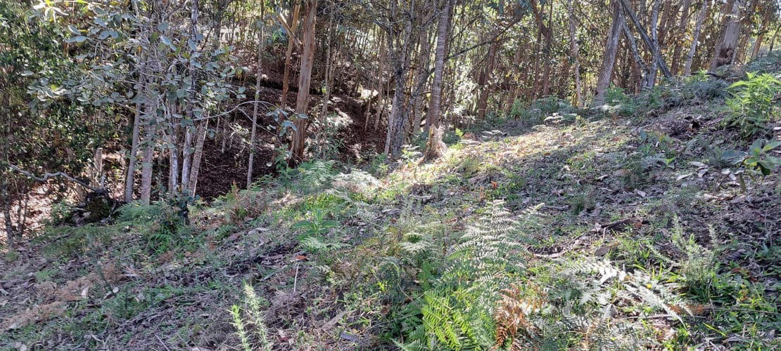 Lote en venta en Cabeceras De Llanogrande, Rionegro, 12900 m² · foto 5 de 17