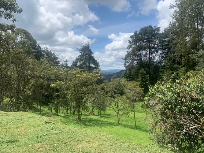 Finca en venta en Sajonia, Rionegro, 9260 m² · foto 14 de 20
