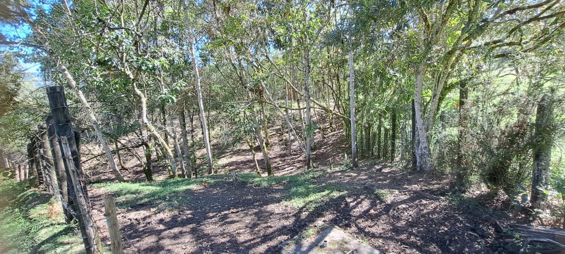 Lote en venta en Cabeceras De Llanogrande, Rionegro, 12900 m² · foto 7 de 17