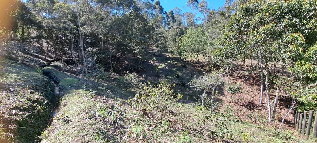 Lote en venta en Cabeceras De Llanogrande, Rionegro, 12900 m² · foto 8 de 17
