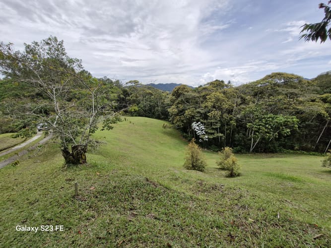 Lote en venta en Los Salados, El Retiro, 11000 m² · foto 7 de 14